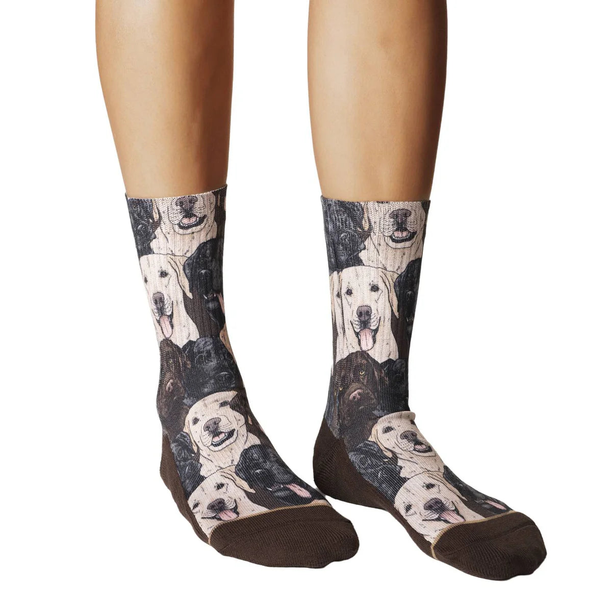 Good Luck Sock - Labrador Retriever Socks