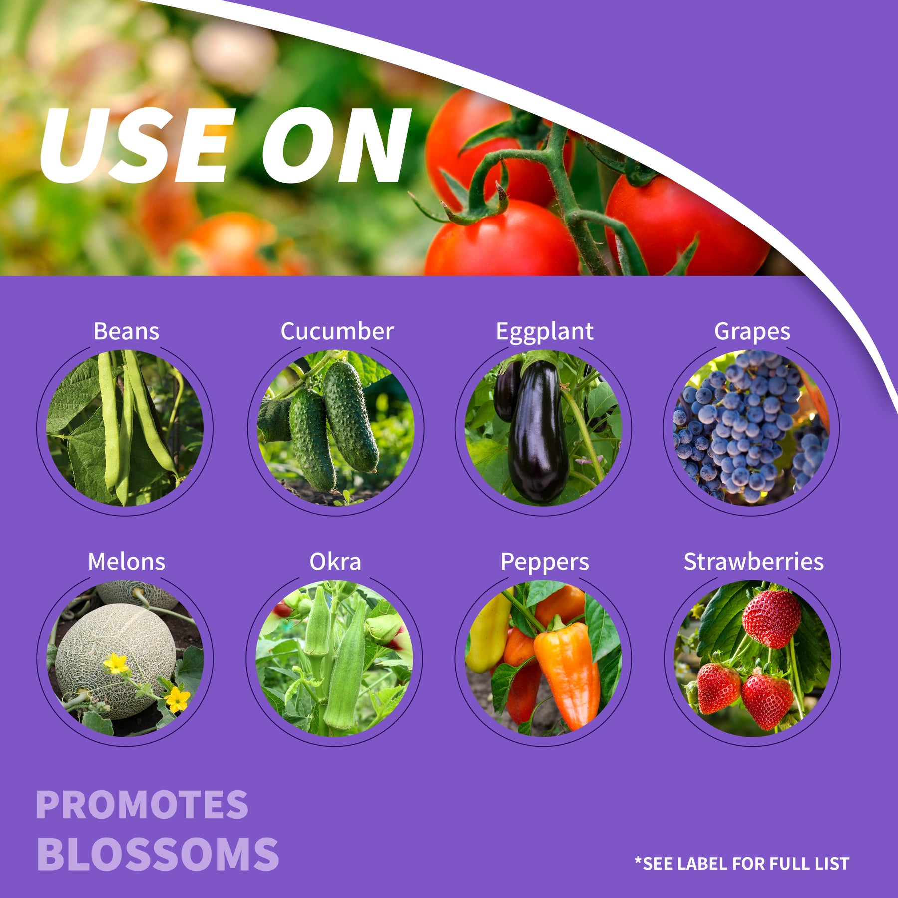 Bonide - Captain Jack's Tomato & Vegetable