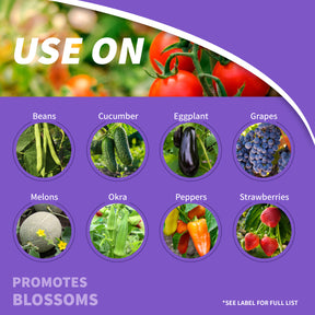 Bonide - Captain Jack's Tomato & Vegetable