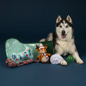 Petshop by Fringe Studio - Dog Toy Stocking Happy Pawlidays