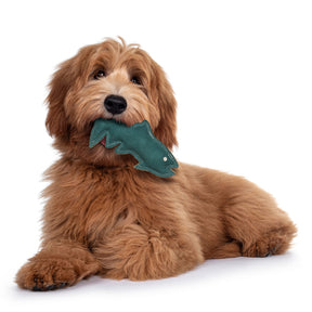 Ethical Pet Products - Dura-Fused Leather Fish Dog Toy