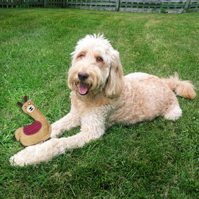 Ethical Pet Products - Dura-Fused Leather Llama Dog Toy