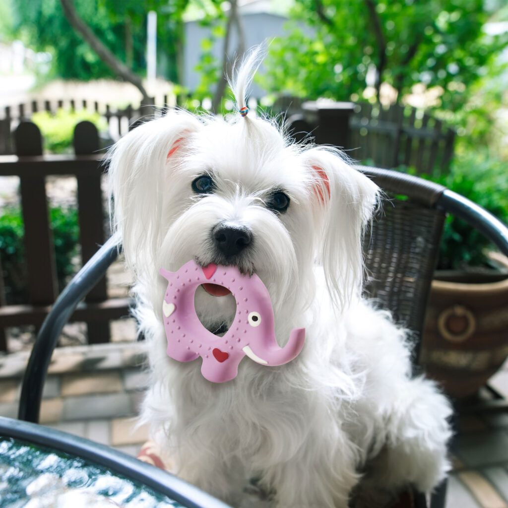Ethical Pet Products - Latex Animal Ring Dog Toy