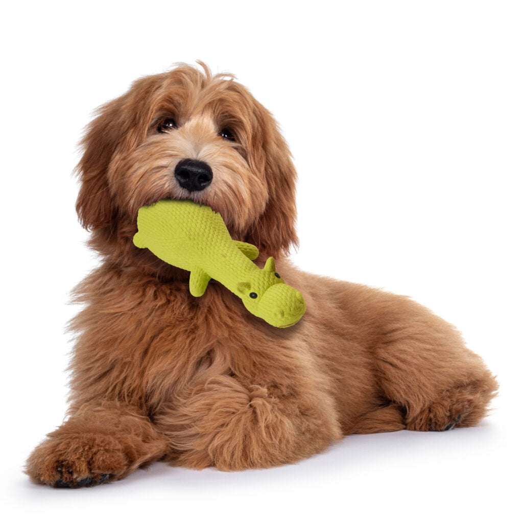Ethical Pet Products - Latex Friends Dog Toy
