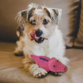 Ethical Pet Products - Latex Pals Dog Toy