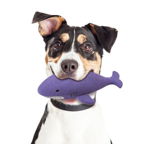 Ethical Pet Products - Latex Sea Friends Dog Toy