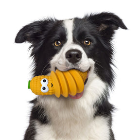 Ethical Pet Products - Latex Foods Dog Toy