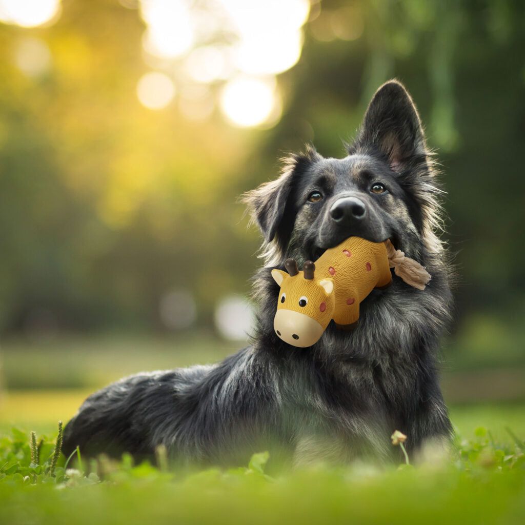 Ethical Pet Products - Latex Tuggers Dog Toy