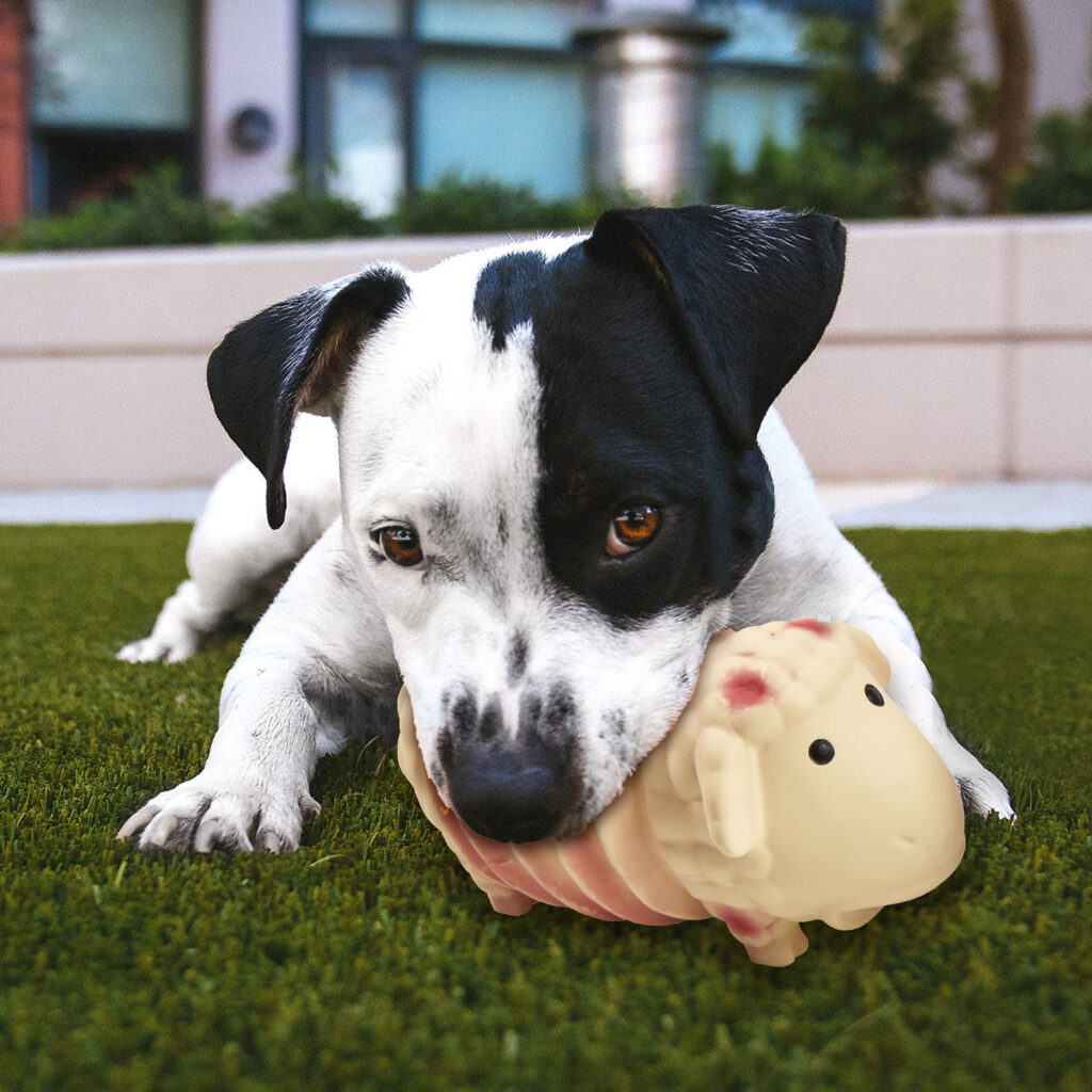 Ethical Pet Products - Latex Animals Dog Toy