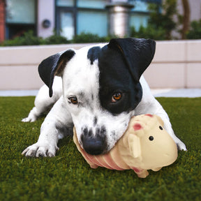 Ethical Pet Products - Latex Animals Dog Toy