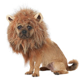 California Costumes - Halloween Costume King Of The Jungle