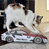 Coastal - Race Car Scratcher