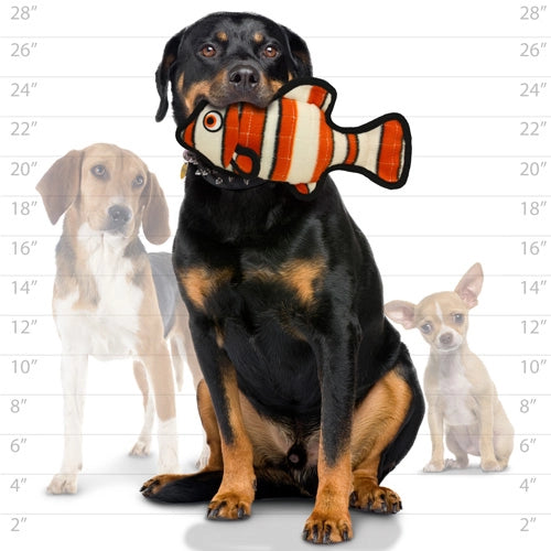 Tuffy Dog Toys - Ocean Fish Durable Squeak Toy