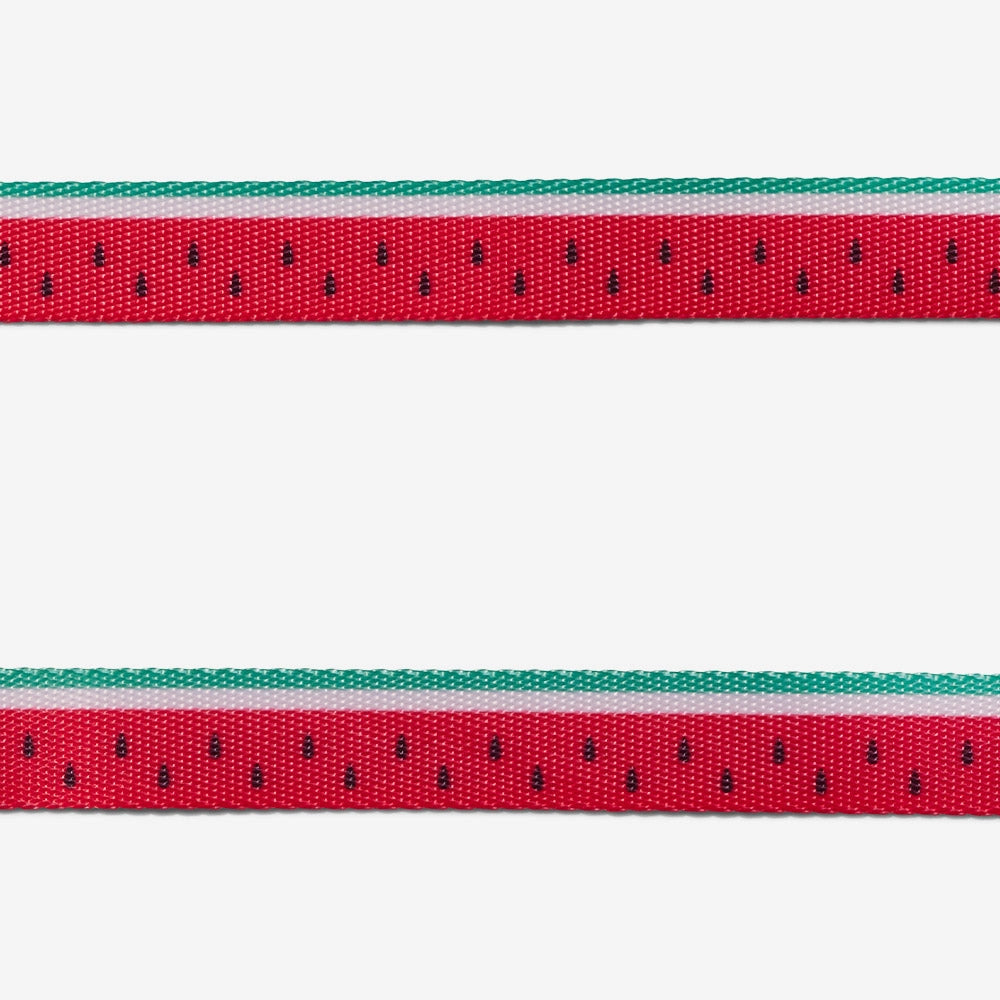Zee.Dog - Cat Collar Lola Breakaway