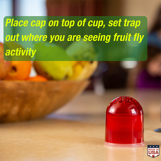 Rescue - Reusable Fruit Fly Trap