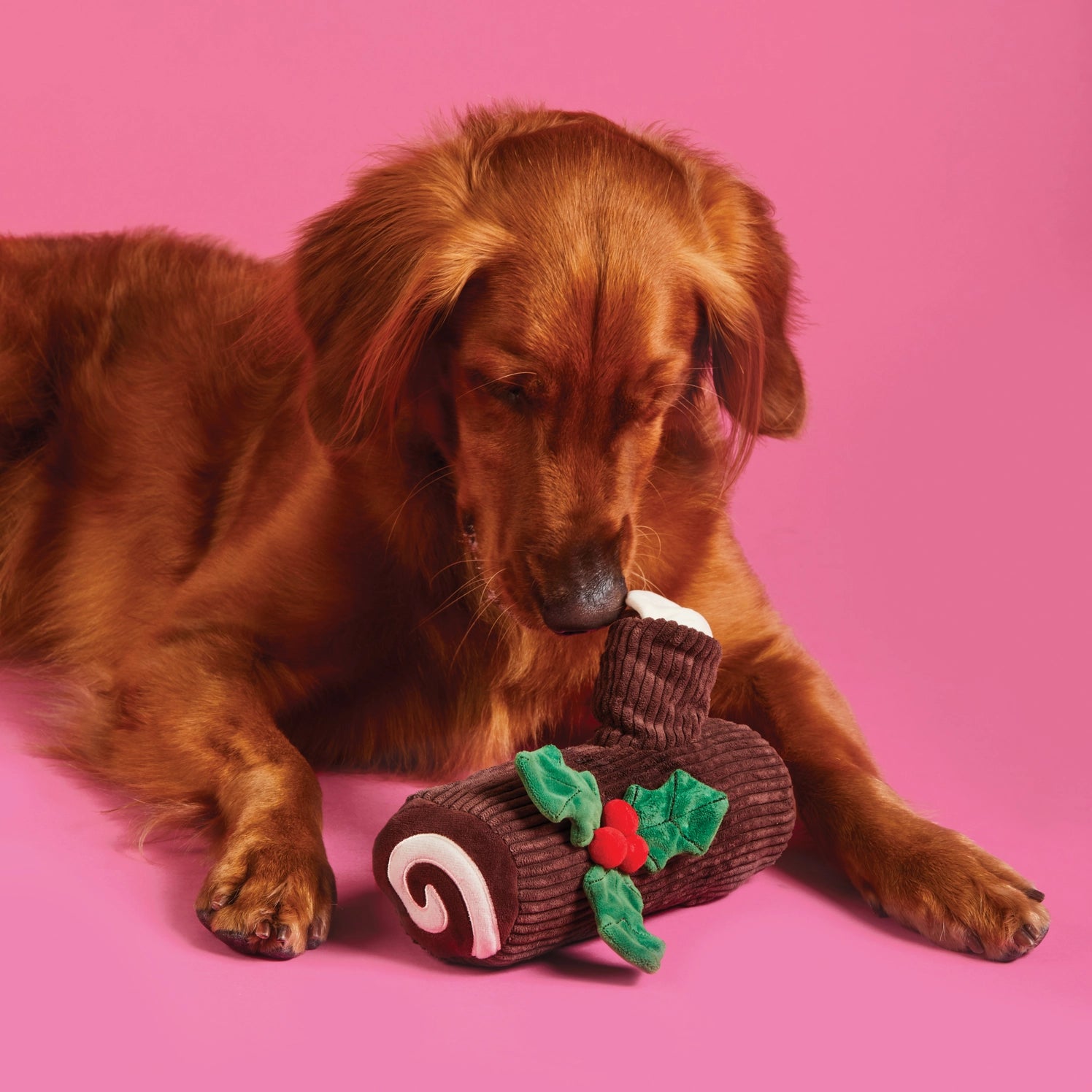 The Foggy Dog - Dog Toy Yule Log