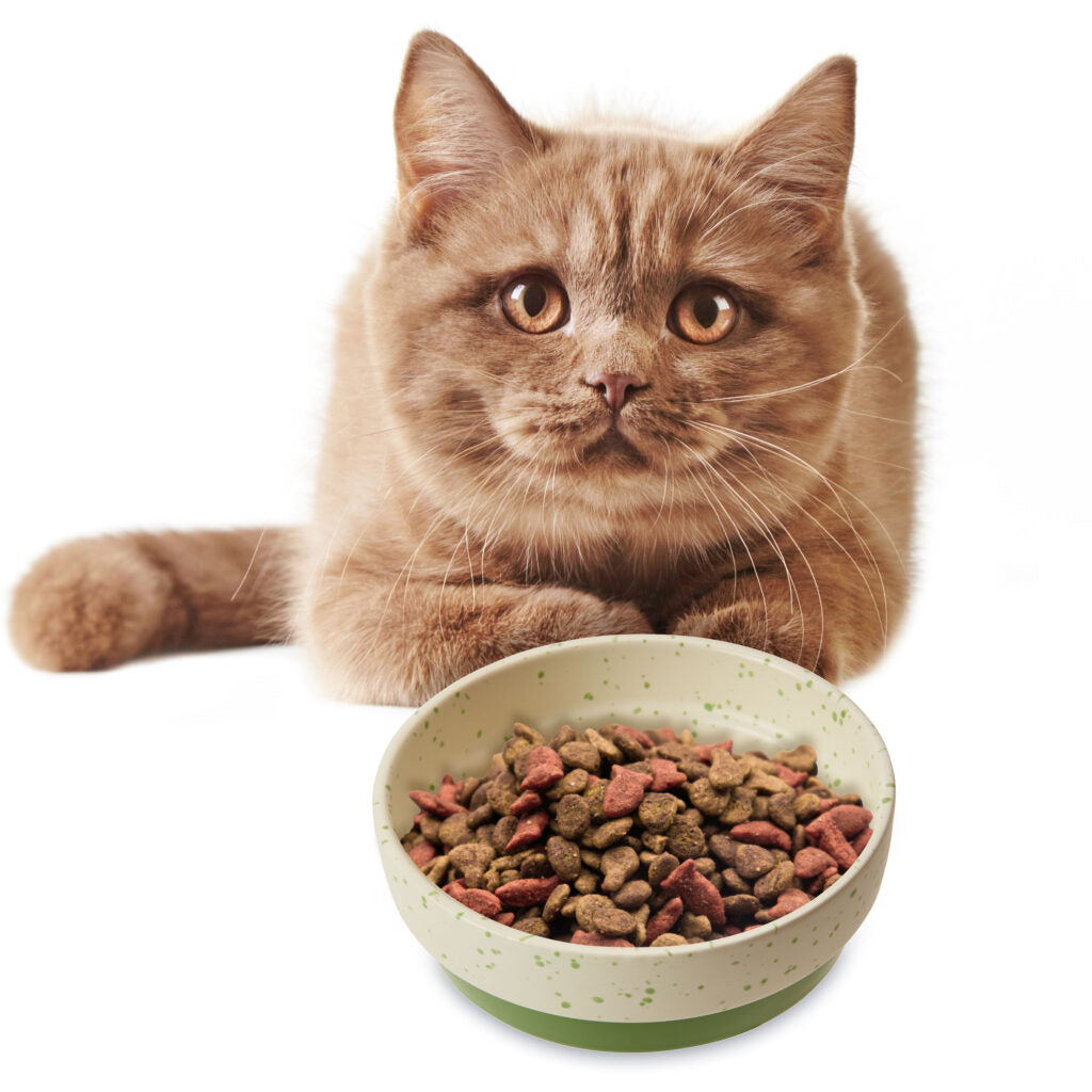 Ethical Pet Products - Sedona Cat Dish Stoneware