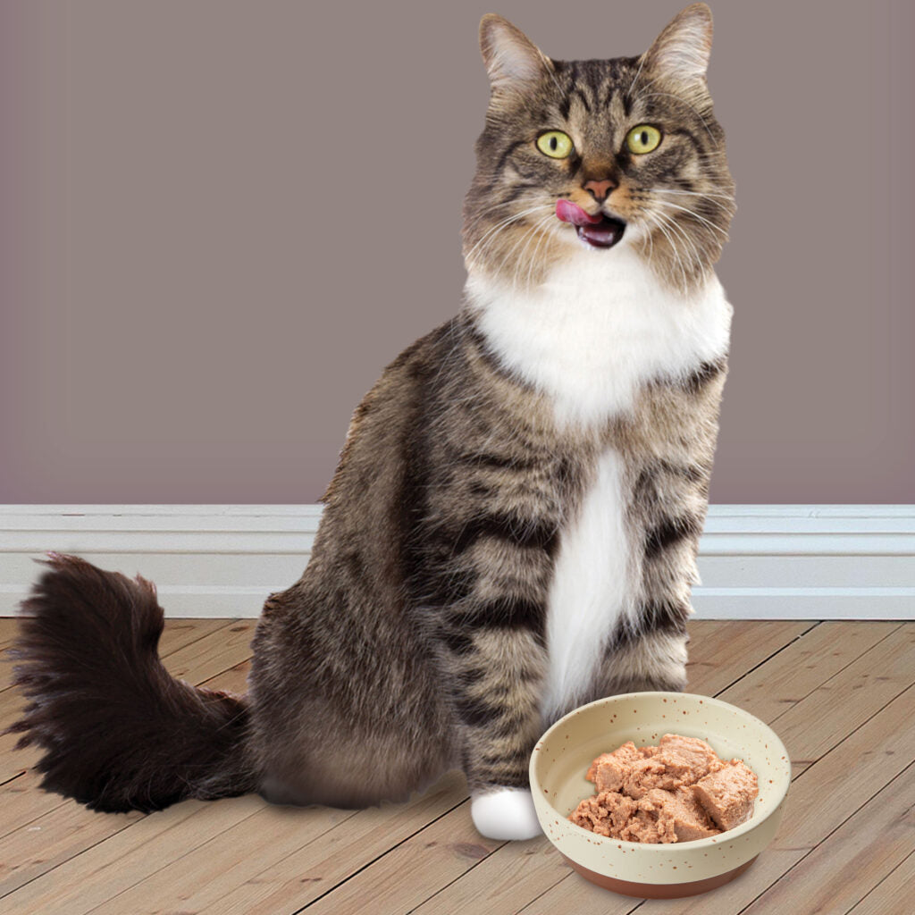 Ethical Pet Products - Sedona Cat Dish Stoneware
