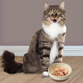 Ethical Pet Products - Sedona Cat Dish Stoneware