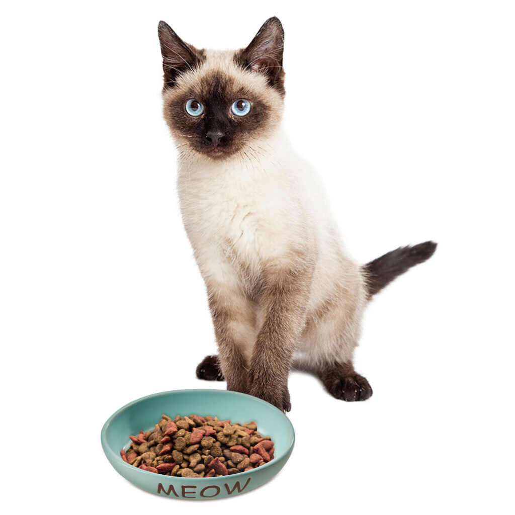 Ethical Pet Products - Portofino Cat Dish Oval Ceramic With Meow & Fish