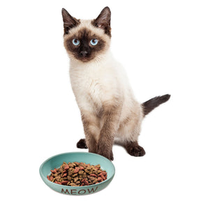 Ethical Pet Products - Portofino Cat Dish Oval Ceramic With Meow & Fish
