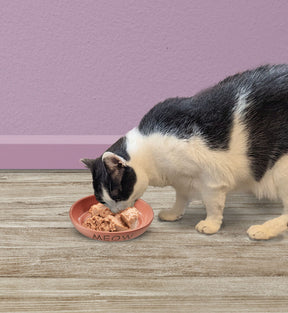 Ethical Pet Products - Portofino Cat Dish Oval Ceramic With Meow & Fish
