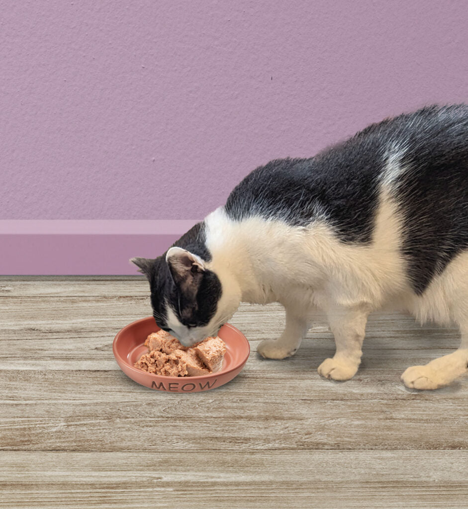 Ethical Pet Products - Portofino Cat Dish Oval Ceramic With Meow & Fish