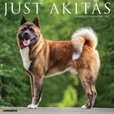 Willow Creek Press - 2027 Akitas