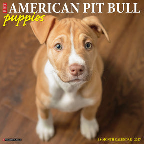 Willow Creek Press - 2027 American Pit Bull Terrier Puppies Calendar