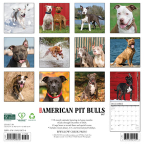 Willow Creek Press - 2027 American Pit Bull Terrier Calendar
