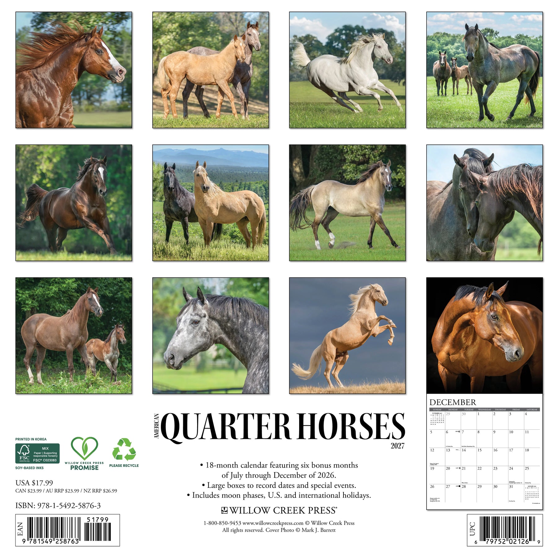 Willow Creek Press - 2027 American Quarter Horses Calendar