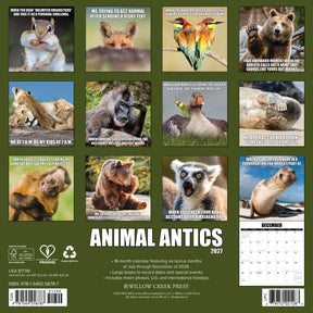 Willow Creek Press - 2027 Animal Antics Calendar