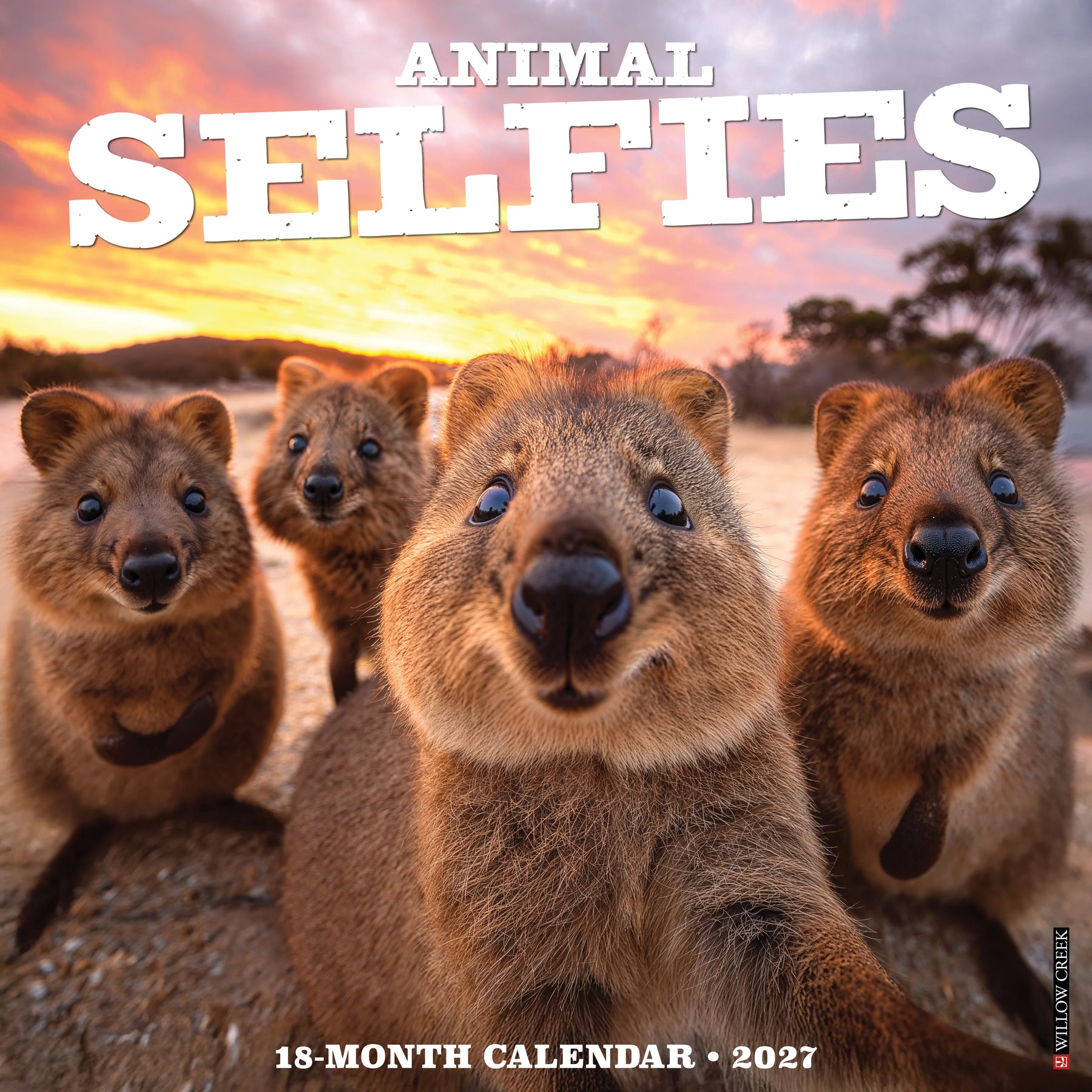 Willow Creek Press - 2027 Animal Selfies Calendar