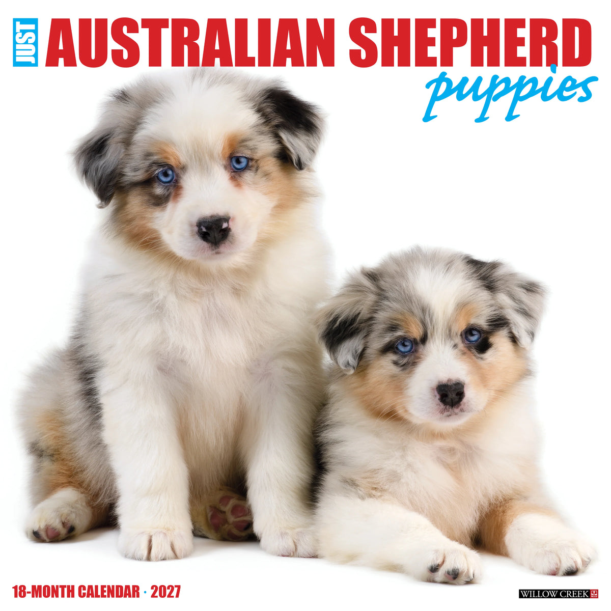 Willow Creek Press - 2027 Australian Shepherd Pups Calendar