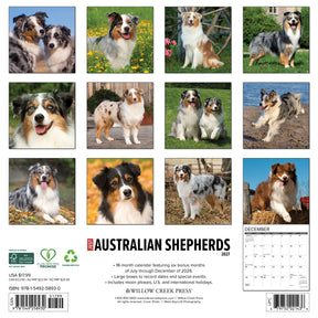 Willow Creek Press - 2027 Australian Shepherd Calendar