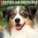 Willow Creek Press - 2027 Australian Shepherd Calendar