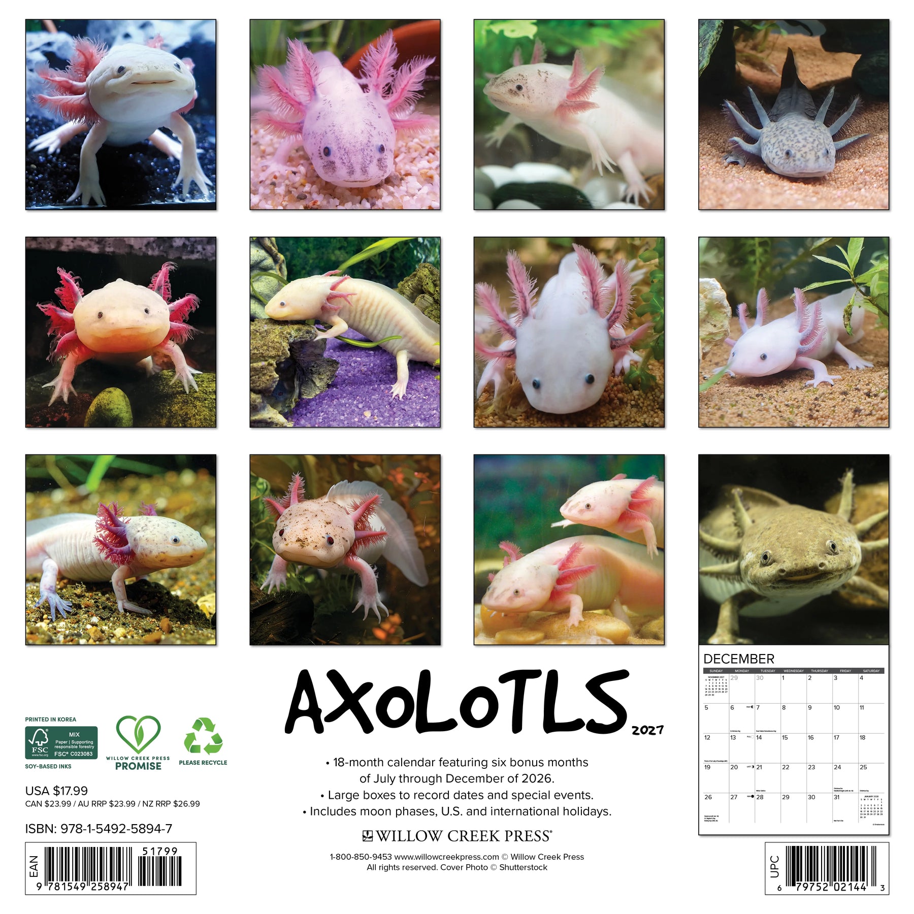Willow Creek Press - 2027 Axolotls Calendar