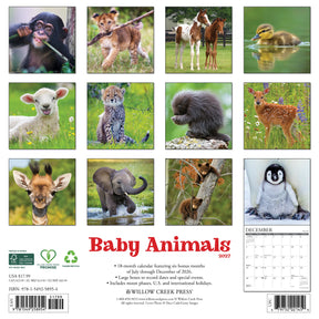 Willow Creek Press - 2027 Baby Animals Calendar