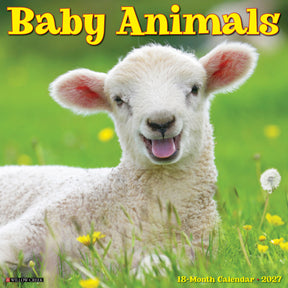 Willow Creek Press - 2027 Baby Animals Calendar