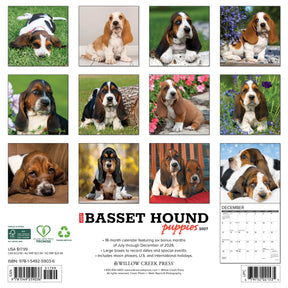 Willow Creek Press - 2027 Basset Hound Pups Calendar