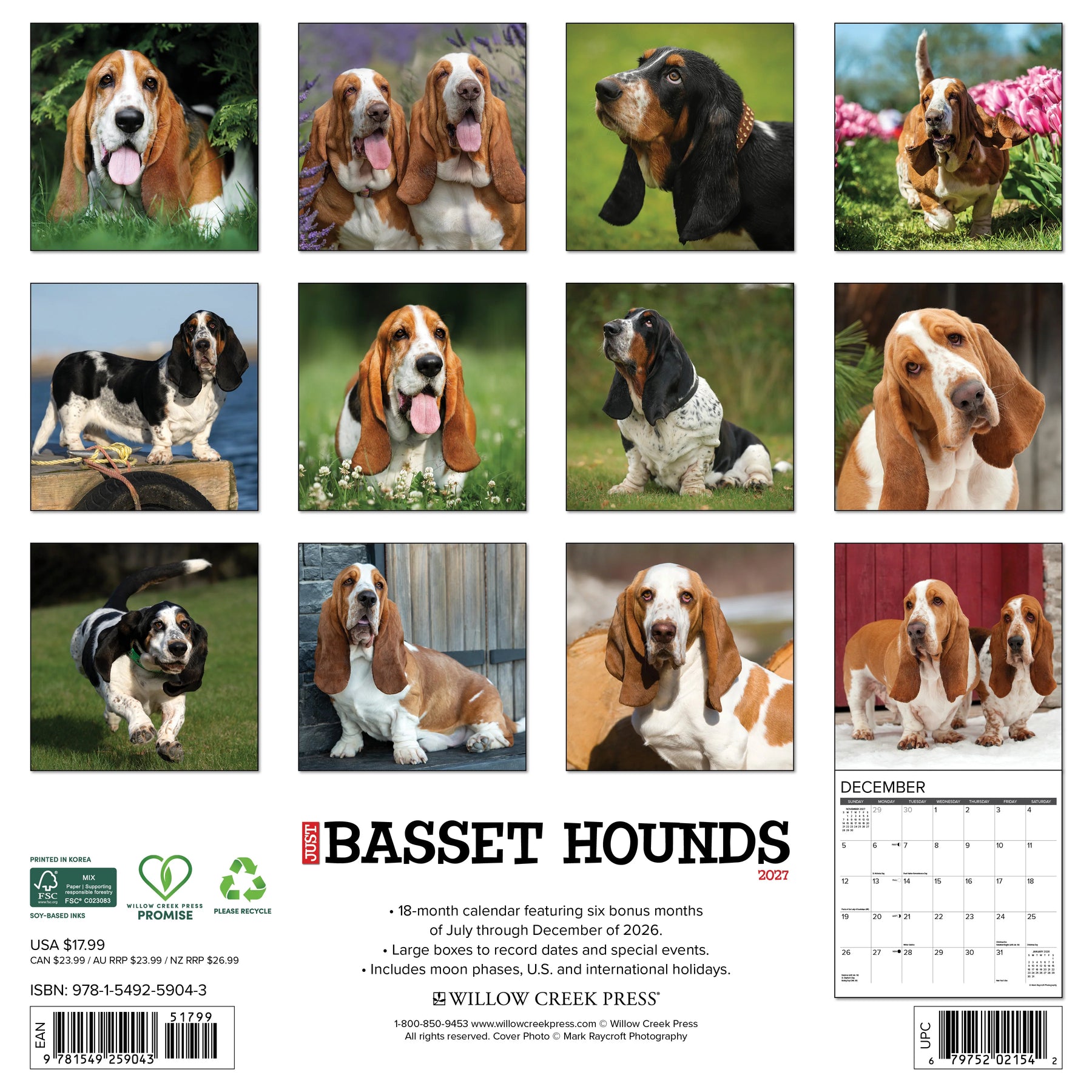 Willow Creek Press - 2027 Basset Hounds Calendar