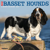Willow Creek Press - 2027 Basset Hounds Calendar