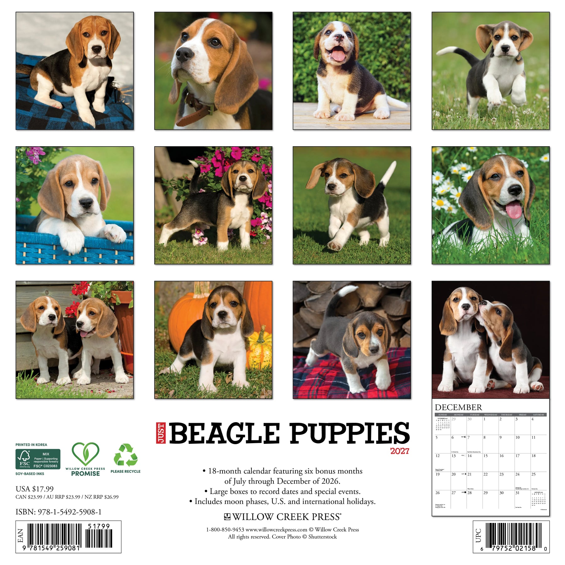 Willow Creek Press - 2027 Beagle Pups Calendar