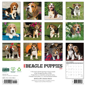 Willow Creek Press - 2027 Beagle Pups Calendar