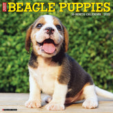 Willow Creek Press - 2027 Beagle Pups Calendar