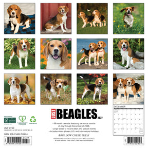 Willow Creek Press - 2027 Beagles Calendar