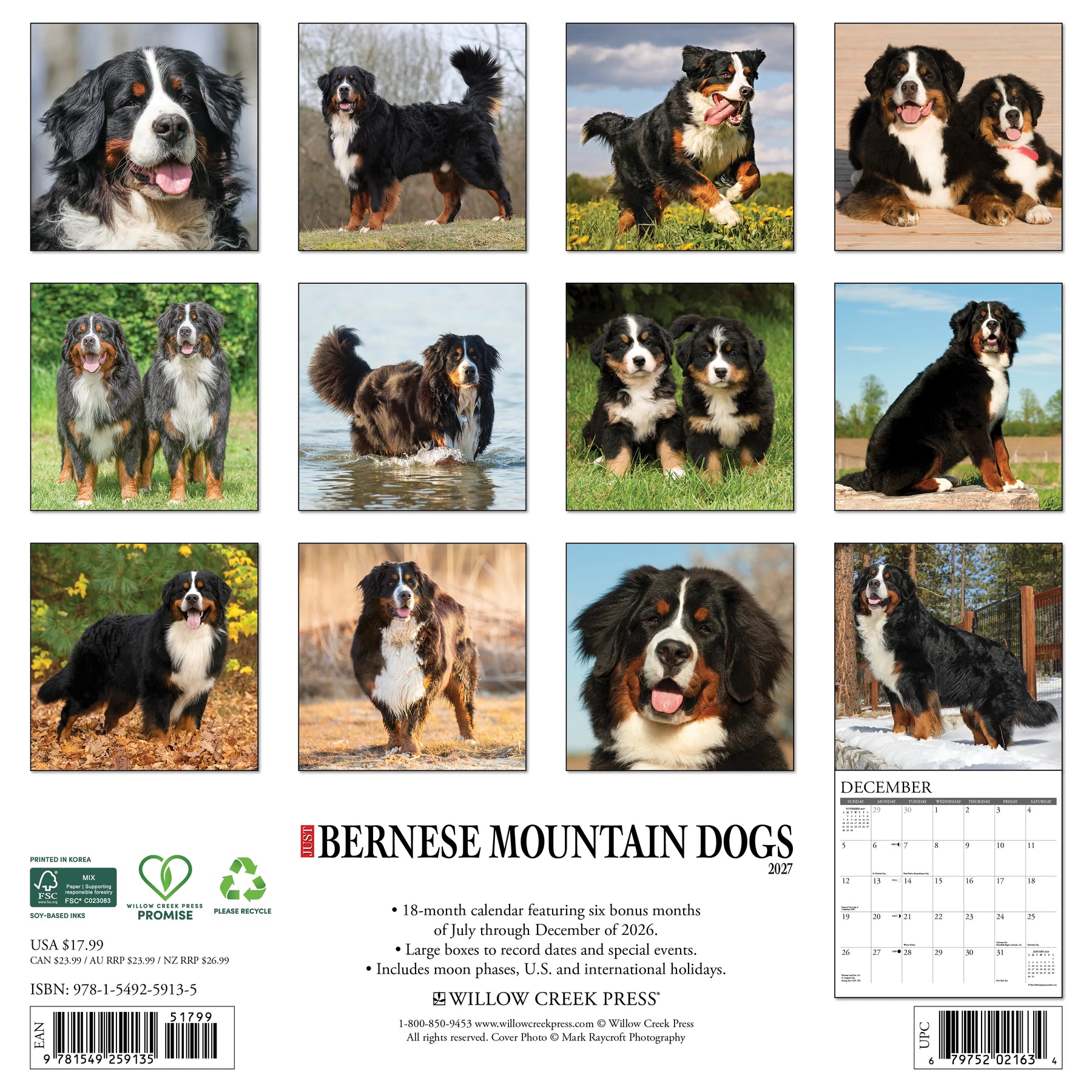 Willow Creek Press - 2027 Bernese Mountain Dog Calendar
