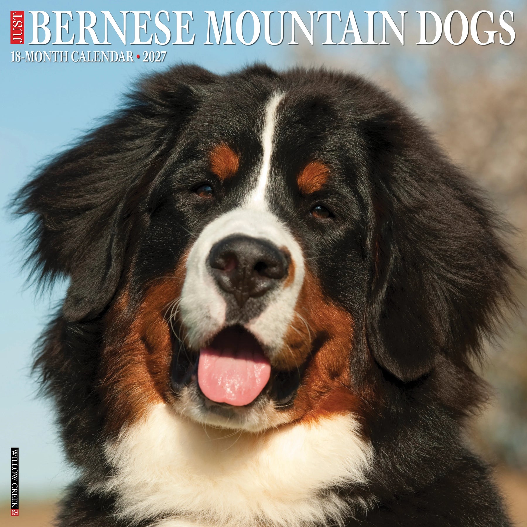 Willow Creek Press - 2027 Bernese Mountain Dog Calendar