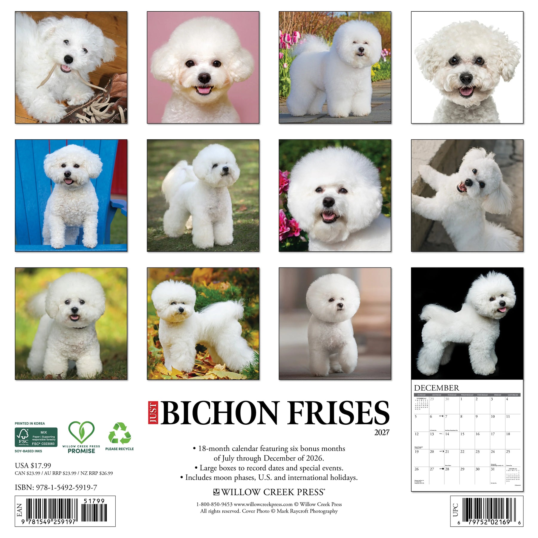 Willow Creek Press - 2027 Bichon Frises Calendar