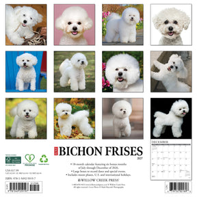 Willow Creek Press - 2027 Bichon Frises Calendar